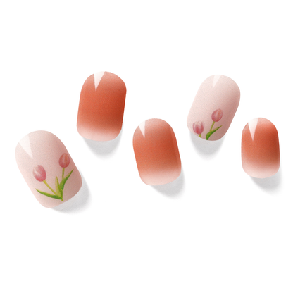 The Little Tulip