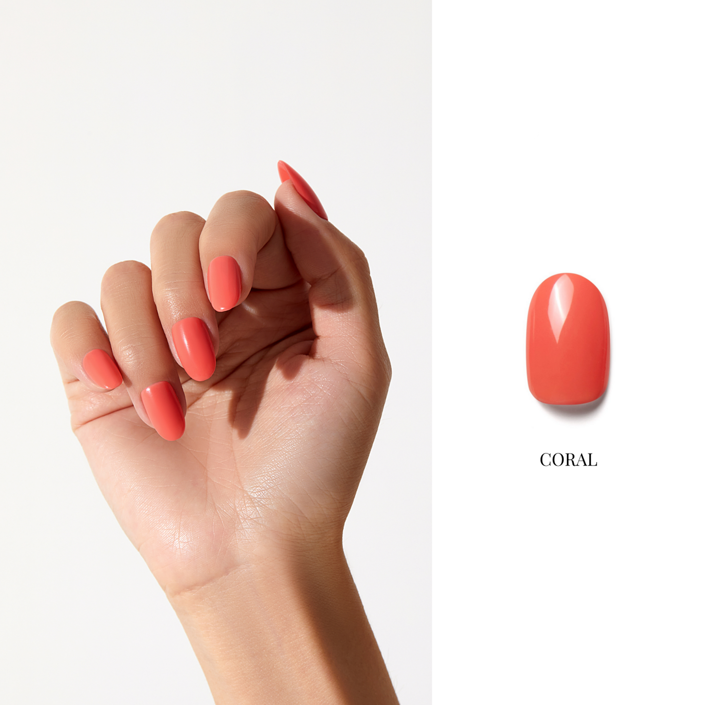 Coral