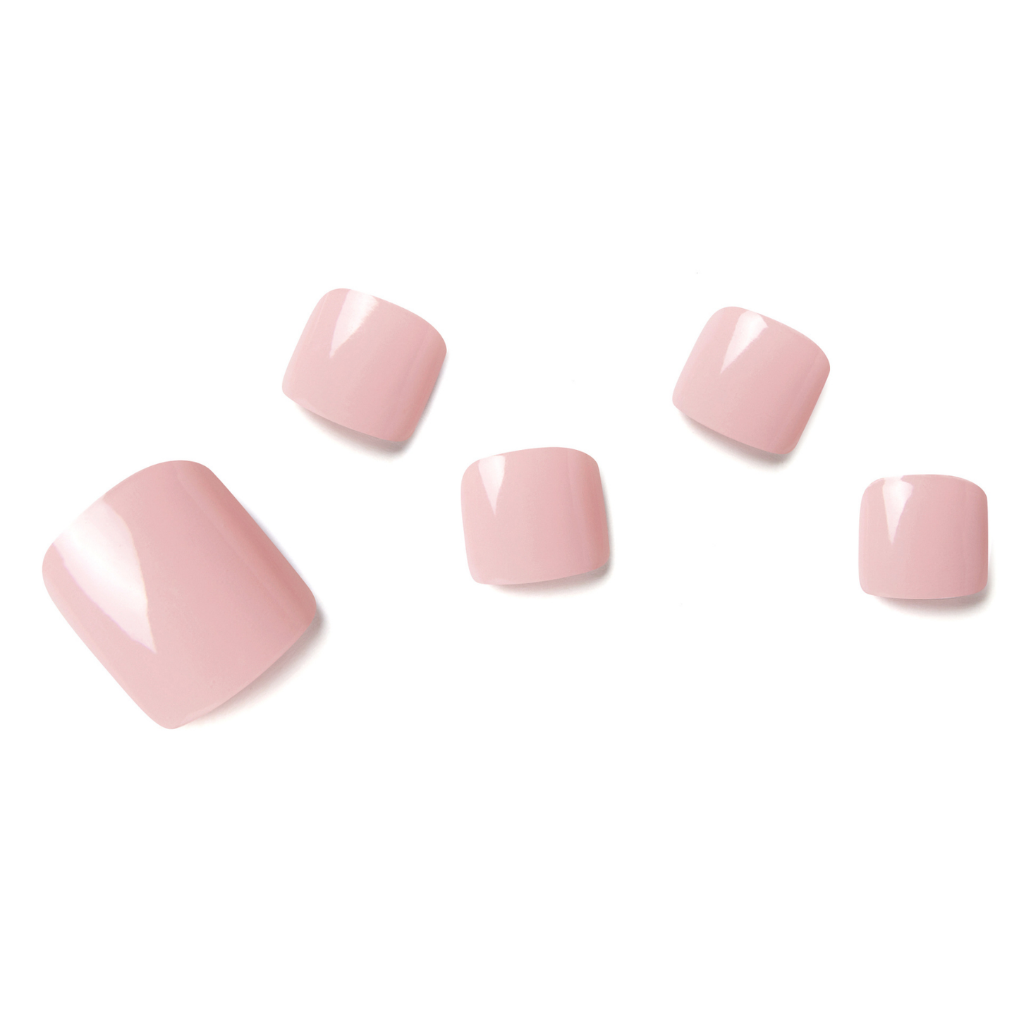 Camellia