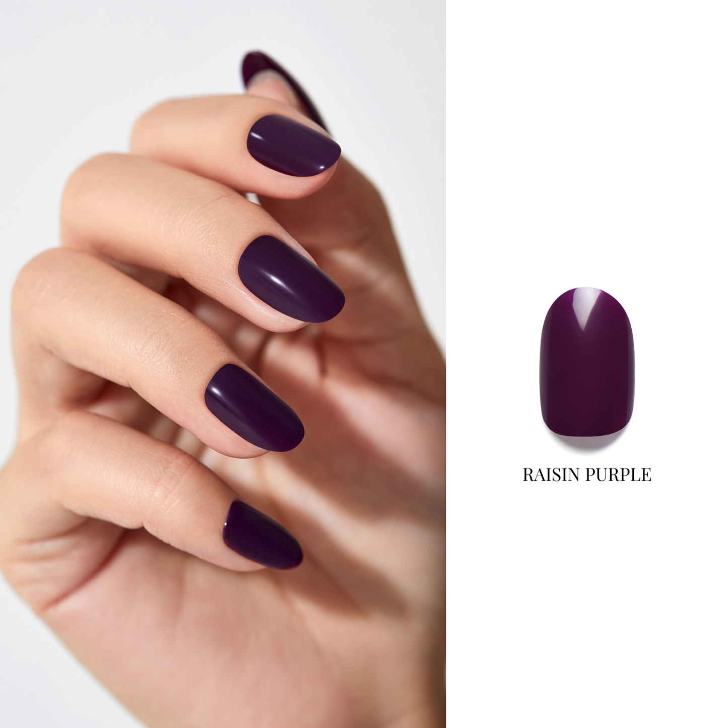 Raisin Purple