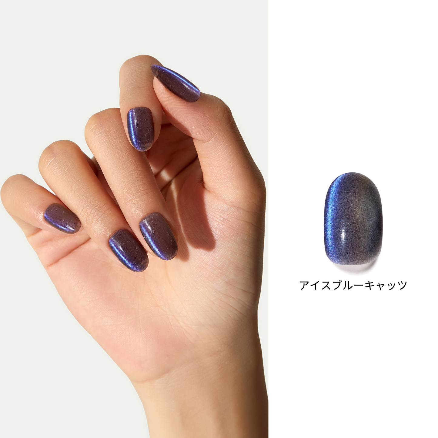 アイスブルーキャッツ