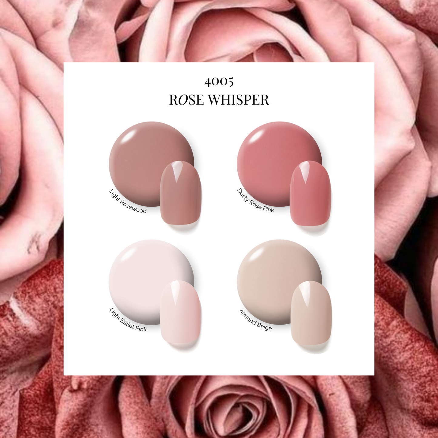 Rose Whisper